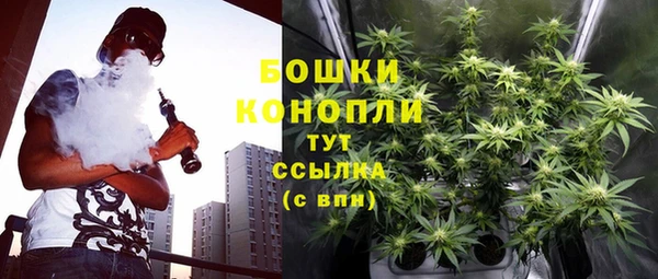 mix Богородицк