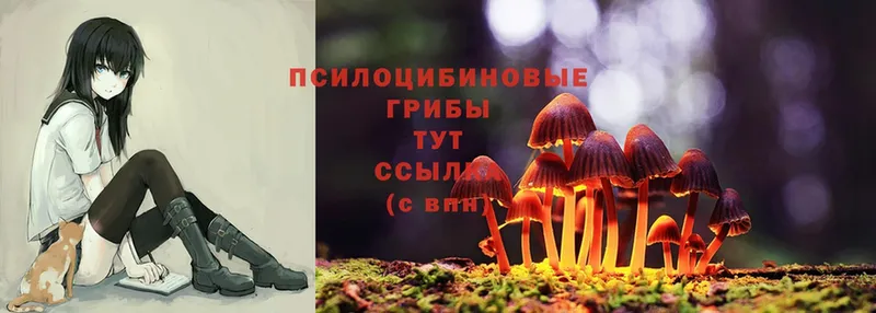 Галлюциногенные грибы MAGIC MUSHROOMS  Братск 